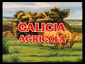 Galicia agrícola. 1962