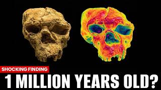 Humans May Be Far Older Than Scientists Thought