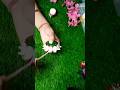 clayart #shorts #shortvideo #shortsfeed#youtubeshorts  #bestoutofwaste #bottlecraft #diyfun