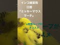 インコに無限に聞かせて覚えてもらおう!!️口笛『ミッキーマウスマーチ』 #オカメインコ に特にオススメ