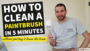Can you pour paint brush water down the drain?