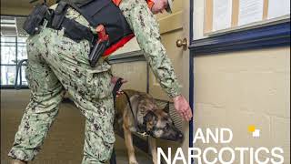 Military Working Dogs of Citadel Shield-Solid Curtain 2020 🇺🇸