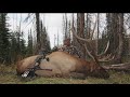 Top 3 biggest bull elk shot with a bow compilation