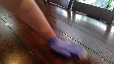 BI 234 HOL  Bacteria Morphology and Staining Techniques Pt 1