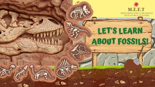 Learn about fossils | dinosaurs| paleontologists| where are fossils found? What are fossils made of? by Chrysaellect India 2,188 views 11 months ago 5 minutes, 40 seconds