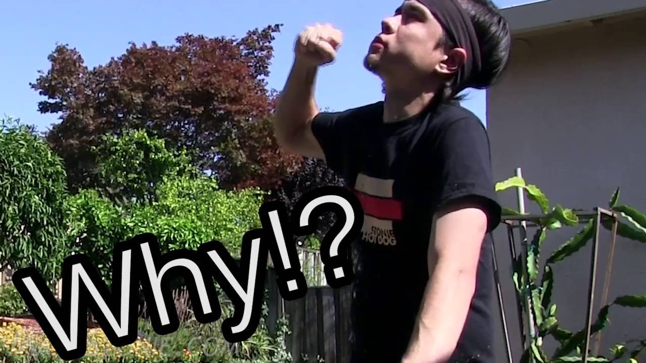 eating challenges boston The 60 Hot Dog Vlog