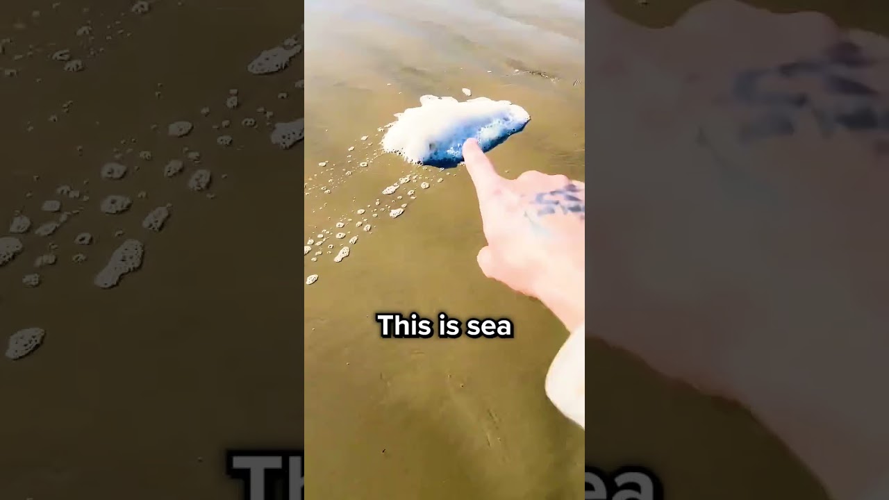 If You See This Foam, Run Away