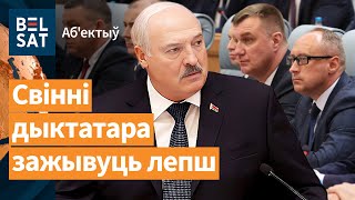 Лукашенко занялся улучшением жизни 🐷свиней / Объектив