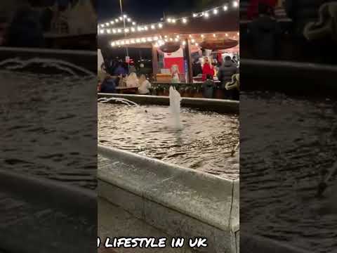 Music Christmas Love Christmastree Vlog Funny Comedy Viral Reels Manchestercity Trending 