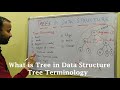 What is tree in data structure  tree terminology in hindi  cse gyan