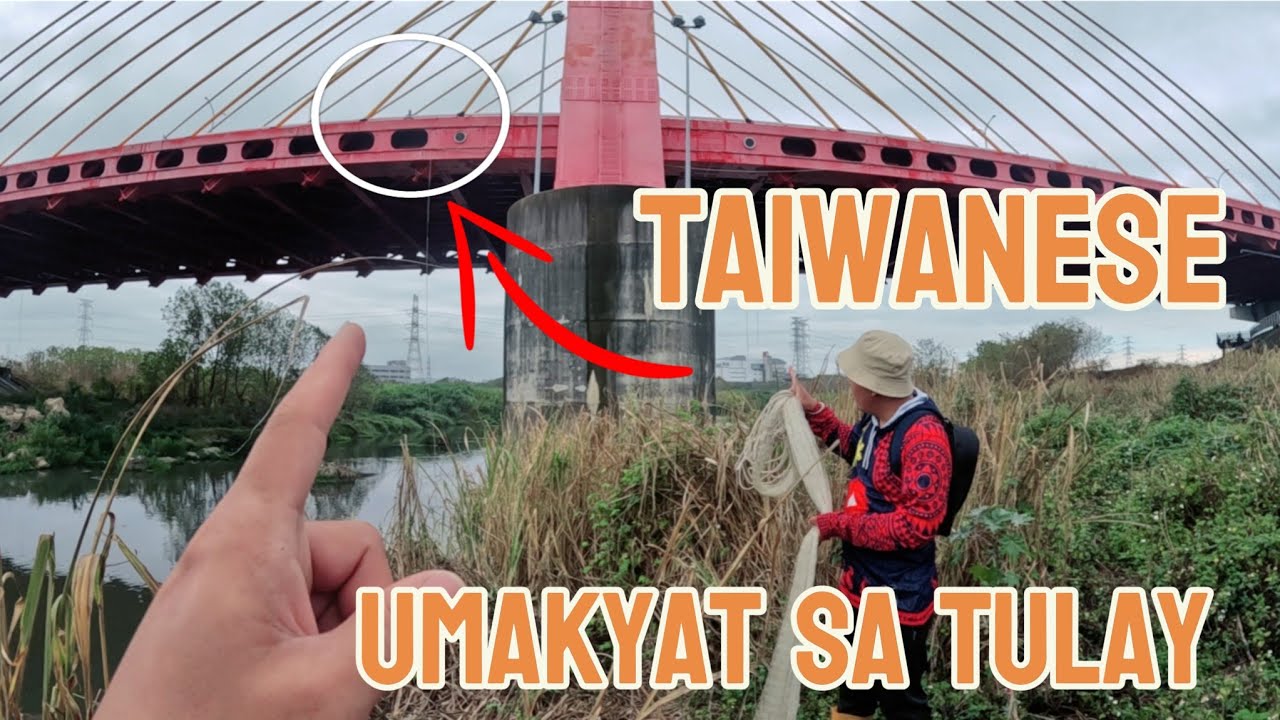 Nagulat kami may tao sa toktok ng tulay+binalikan namin ang gulay sobrang lalaki na ang bunga!