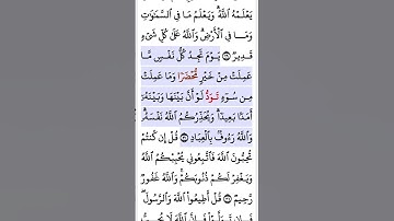 سورة آل عمران ٣٠