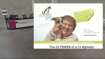 New W+D BB1000 - fastest time to mailbox converter+inserter