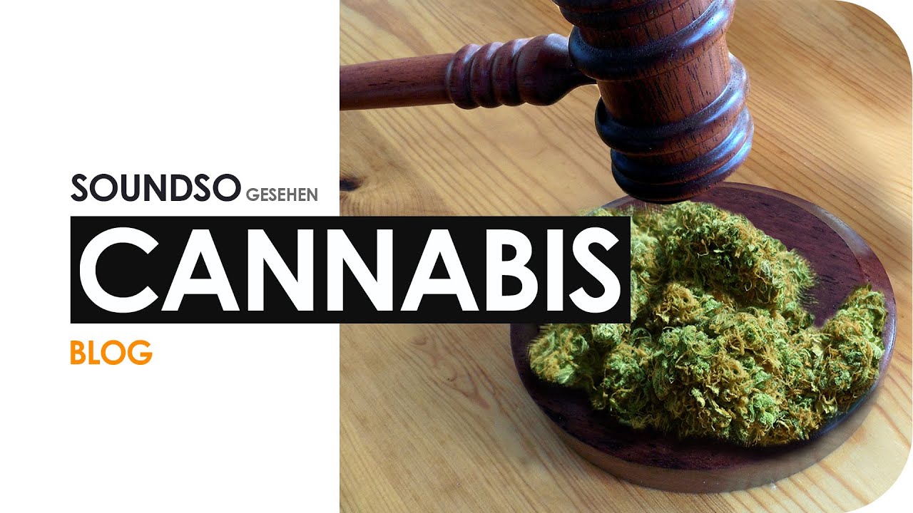 Legalisierung Cannabis Legalisierung Cannabis