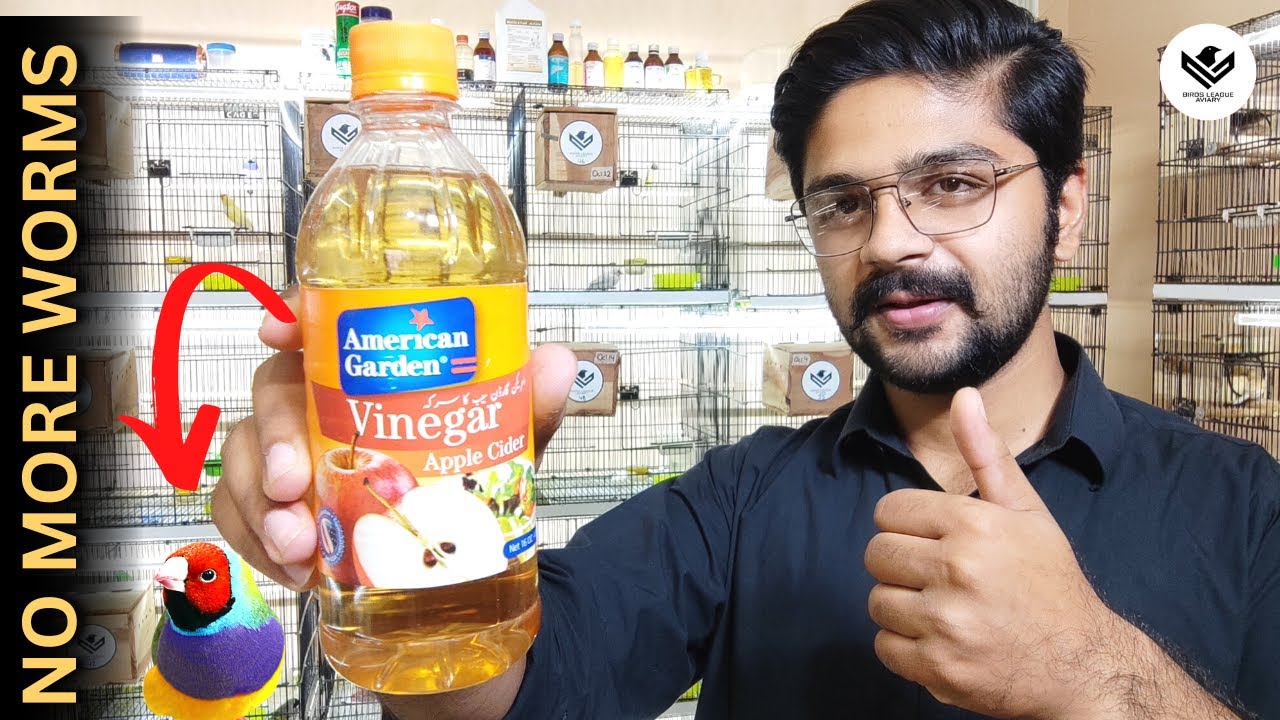 Benefits of Apple Cider Vinegar for birds Abubaker Abbasi