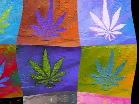 Tolga — Mighty Tolga feat D Flame Highsgeliebtes Gras