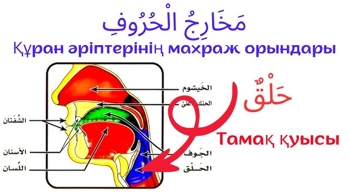 MFF гей порно Әзірбайжан мен қыздар секс видео