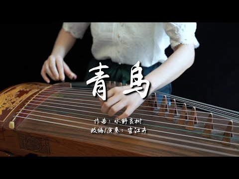 《青鸟 /Blue Bird/ブルーバード》|古箏guzheng | 火影忍者 NARUTO -ナルト-| Covered by 崔江卉 Cuijianghui