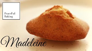 Brown Butter Madeleine|French Tea Cake by Peaceful Baking 3,530 views 3 years ago 5 minutes, 16 seconds