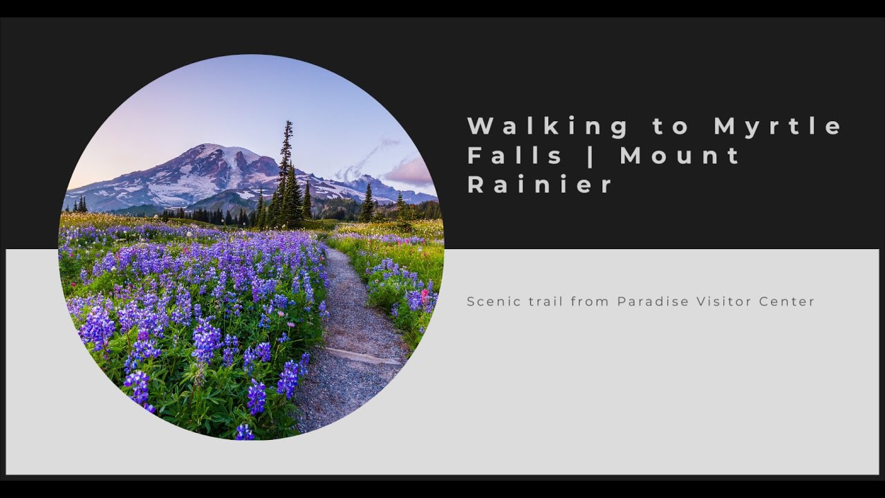 Walking Tour | Mount Rainier Paradise to Myrtle Falls | Busy Summer Day at the Park