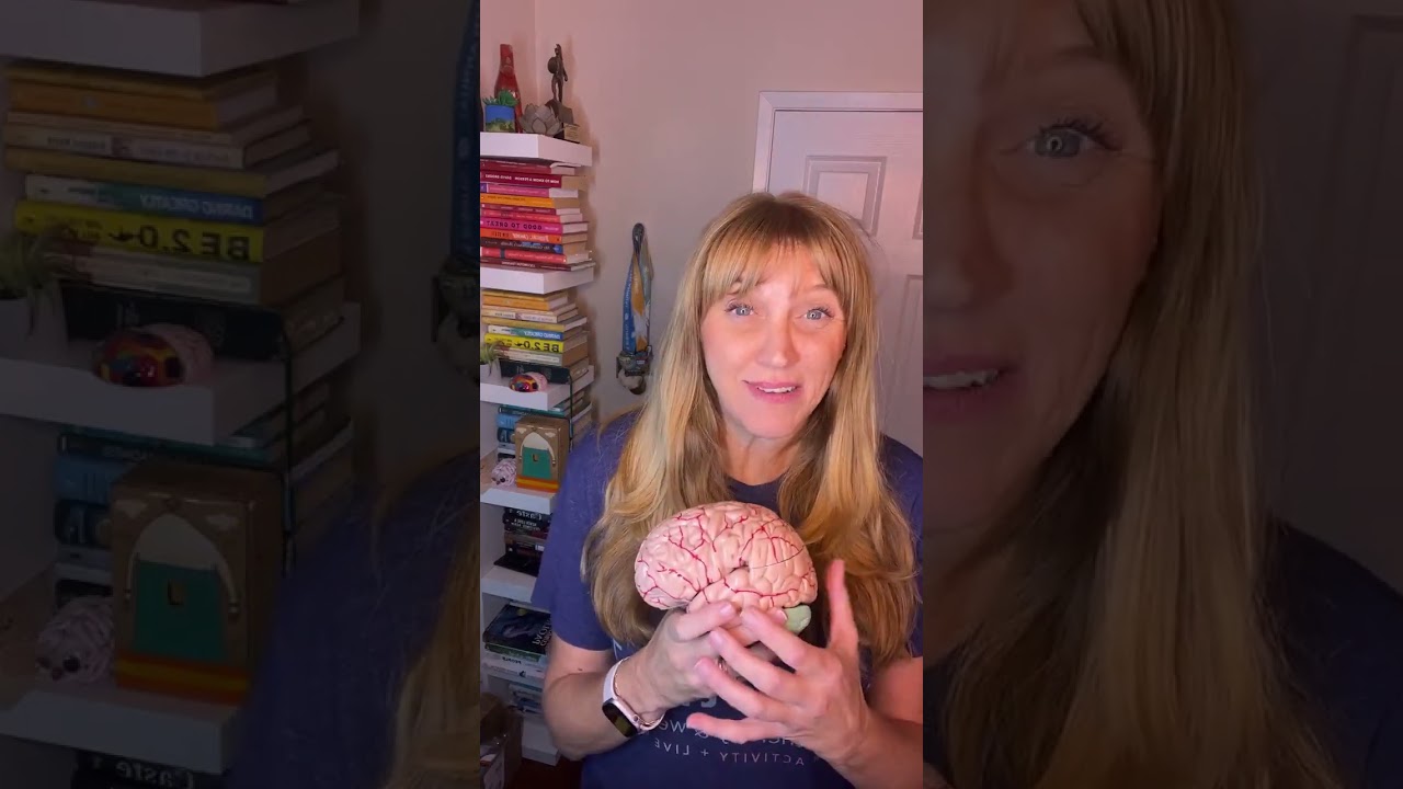 Brain networks and FND--yes please! Let’s get neuro nerdy!