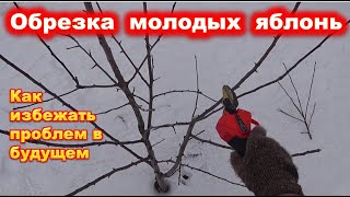 ОБРЕЗКА молодых ЯБЛОНЬ разного типа