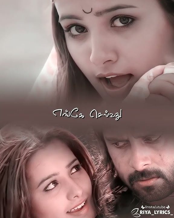 aagaya sooriyanai ennai kandathum song status💕💕#tamilsongs #tamilstatus