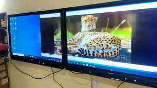 Dual Screen Display