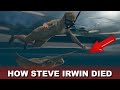 Steve Irwin Death Video (Footage Recreation)