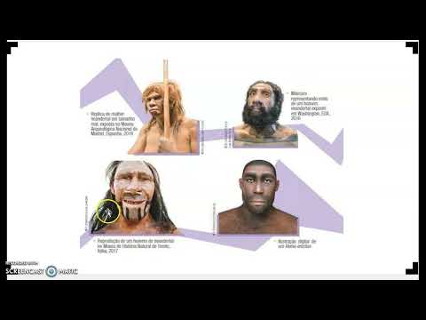 TRAJETÓRIA HUMANA NO