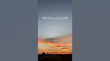 أن ألابرار يشربون من كأس|سورة الانسان|٥-٧|تكمله١|القارئ شريف مصطفى