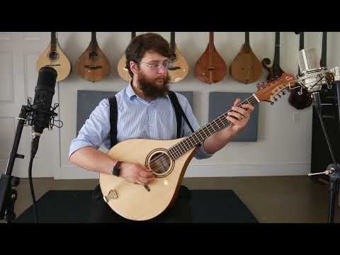 Dammann Mandocello No. 110 Demo