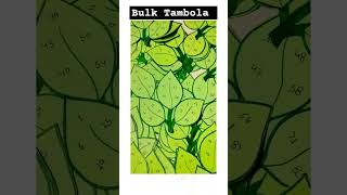 Tambola Tickets bulk order, Green Tambola Theme, Leaf 🌿 Tambola #diy #tambola #shorts ..