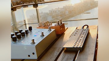 Ambient Frippertronics Jam // OP-Z // MOOD // Microcosm