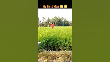 My first vlog 🙏🙏 ll #myfirstvideotoday #my #myfirstvlog #my_first_vlog #myfirstvlogviral