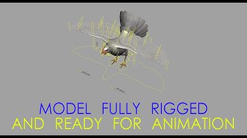 Chicken Rig Preview Maya.