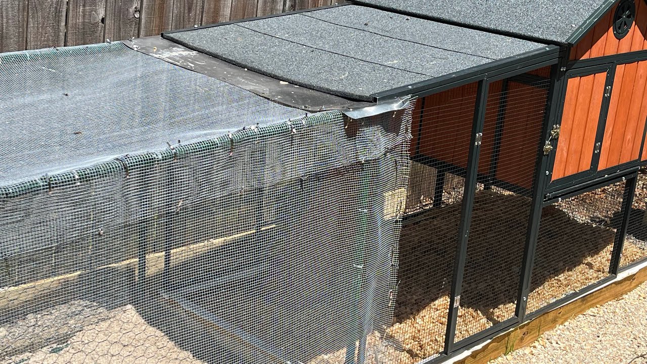 ECOLINEAR CHICKEN RUN (REVIEW) TSC SENTINEL CHICKEN COOP YouTube
