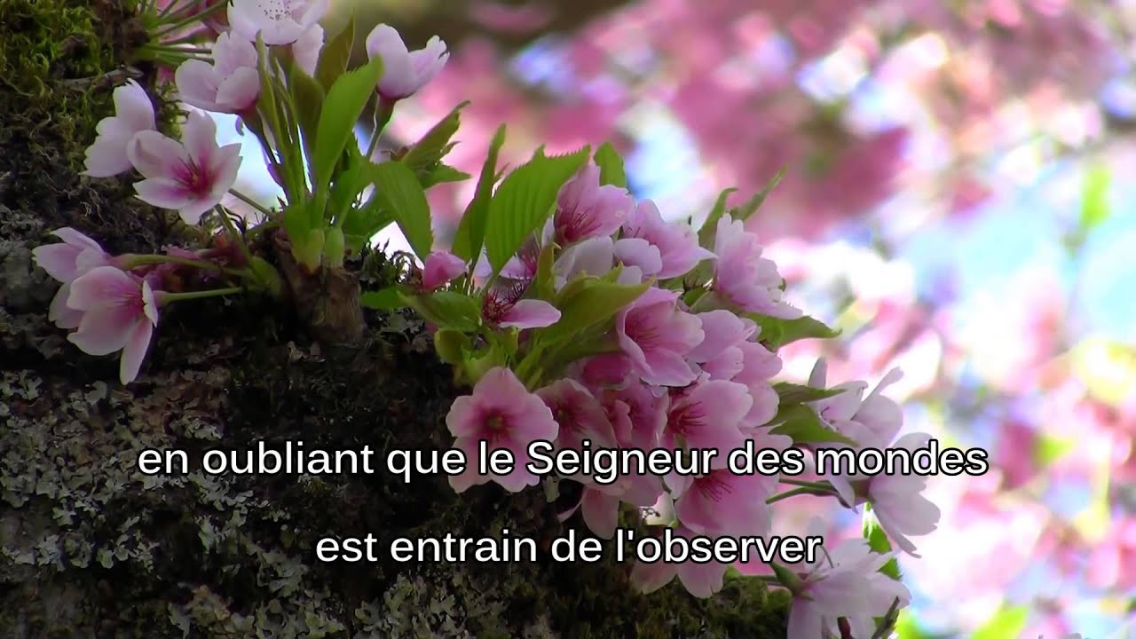 Préserve ton ouie et ta vue du haram - larmes de Cheikh Al Badr