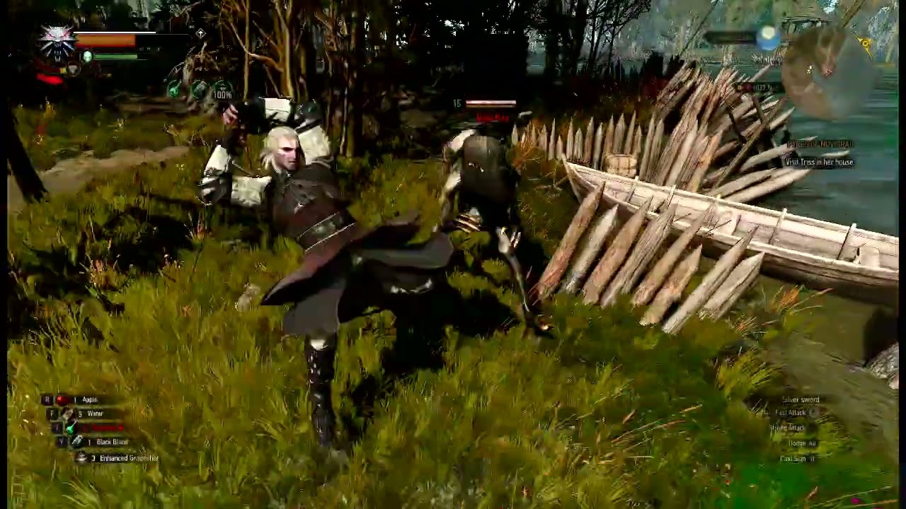 The Witcher 3 Wild Hunt  |5 level Grave Hag Monster Made Me Badly Cried