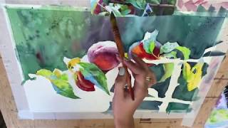 Рисуем акварелью ветку с персиками