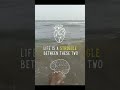 life struggles❤️🧠🧿#alone#beach🧿spot#homelykitchenlifestyle🌺#subscribe🔔&amp; support our channel ❣️