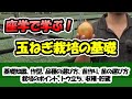 【種屋が教える！】玉ねぎ栽培の基礎「基礎知識、作型、品種の選び方、苗作り、苗の選び方、栽培のポイント、トウ立ち、収穫・貯蔵」