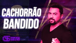 Video thumbnail of "Xand Avião - Cachorrão Bandido"
