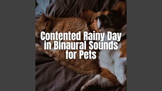 Gentle Rainy Day Pet Flow
