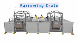 Europeanstyle welfare farrowing crate assembly process# Pig equipment,#pig