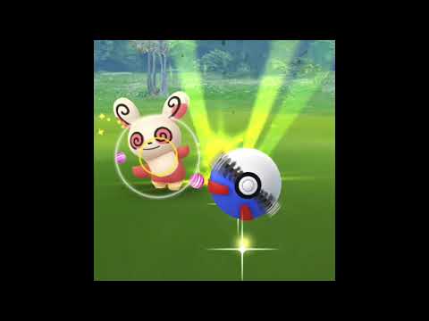 12月 パッチール ポケモンGO