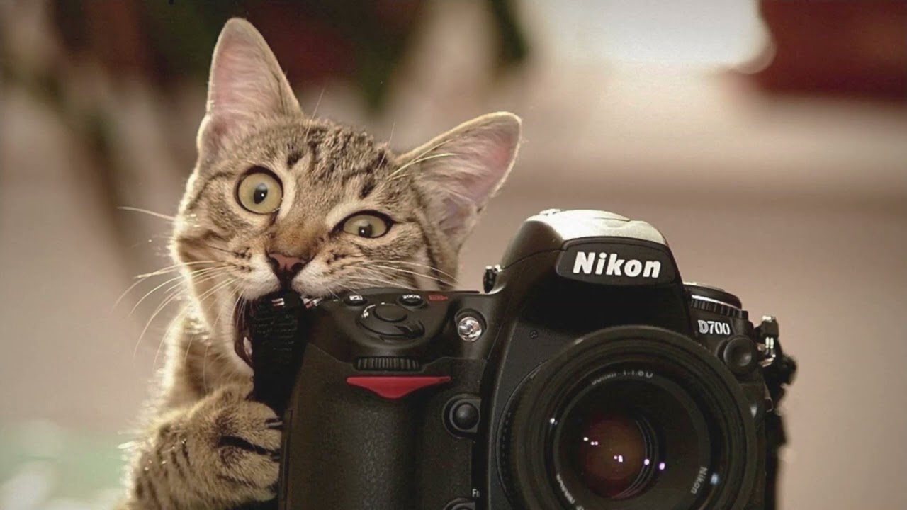 Nick Drossos - Break My Fall (2018)