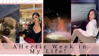 A WEEK IN MY LIFE! | ROLLING LOUD, KANYE/DRAKE CONCERT & NEW PUPPY???