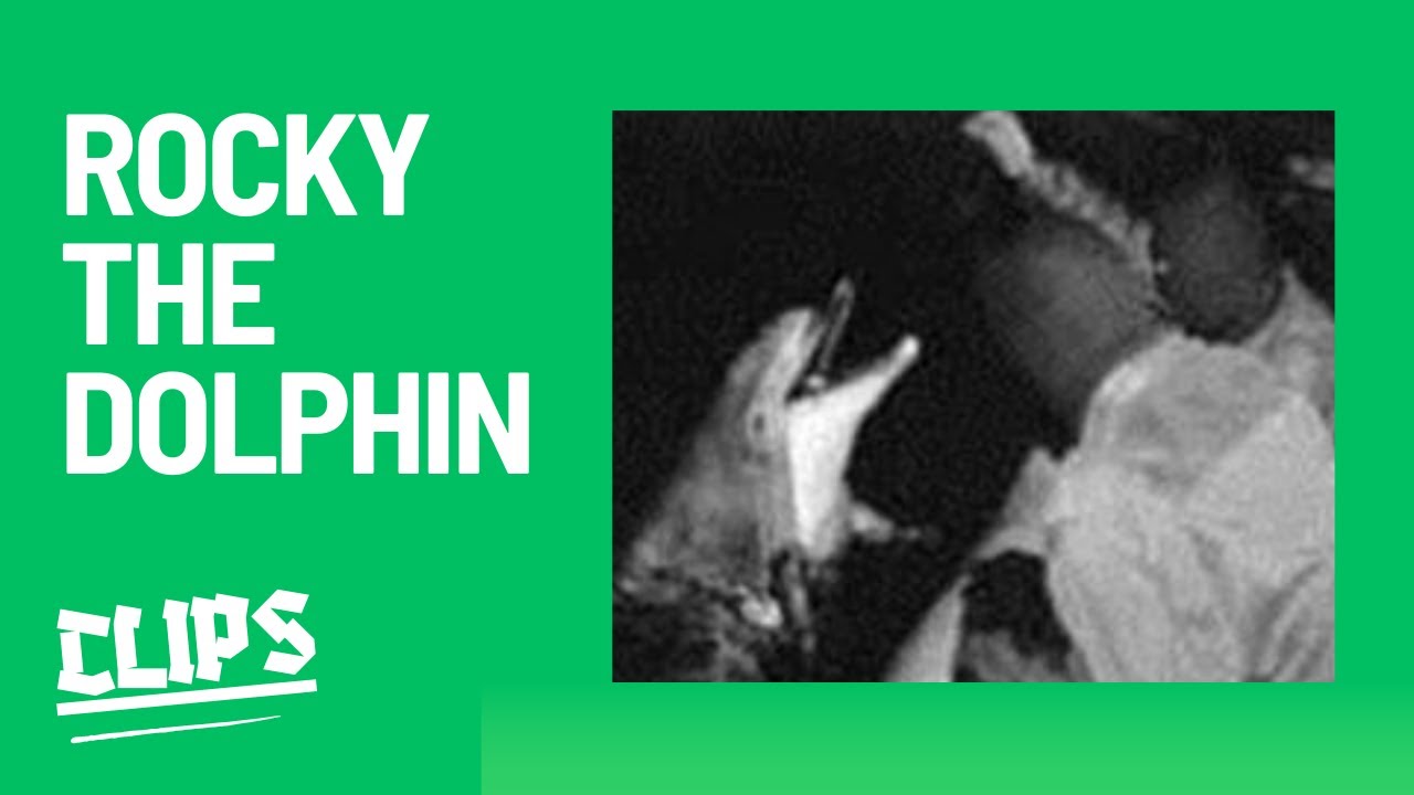 The Liberation of Rocky The Dolphin [Green Scare Pod]