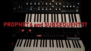 Prophet 6 and Subsequent 37 First meeting